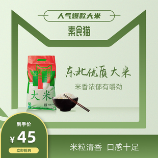 袋 绿色新米5kg 预售素食猫东北大米2023年新米泰来长粒香米10斤装