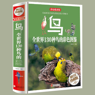 全面介绍关于鸟类方面 鸟 鸟类书籍大百科 知识 全世界130种鸟 科普读物图书籍 彩色图鉴