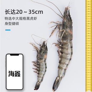 黑虎虾超大新鲜24cm大虾老虎虾鲜活虎虾特大斑节虾海鲜九节虾