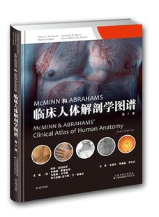 正版 彼得亚伯拉罕教授书店医药卫生书籍 第7版 畅想畅销书 临床人体解剖学图谱