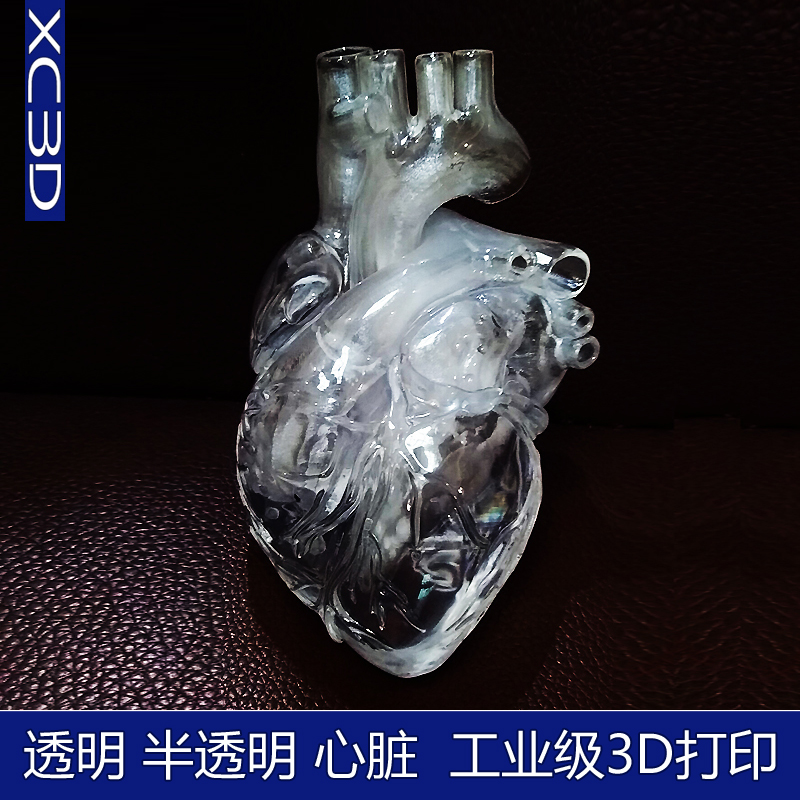 人体器官3d打印医疗心脏模型模具定制SLA激光快速成型树脂透明件