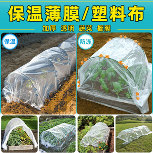 大棚薄膜塑料膜加厚保温种菜种植棚膜防冻农用植物菜园透明塑料布