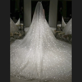 结婚婚礼头纱白色 拖尾香槟色喷金星空抖音同款 头纱新娘主婚纱长款