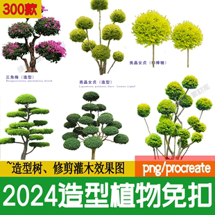 PS景观造型植物灌木球造型树迎客罗汉松桩景效果图png棒棒糖素材