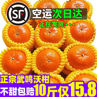 现摘正宗广西武鸣沃柑纯甜大果5 包邮 孕妇新鲜水果蜜橘 10斤当季