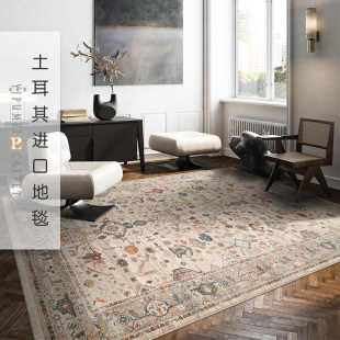 家用茶几毯 土耳其进口地毯客厅卧室高级轻奢美式 易普美家2023新款