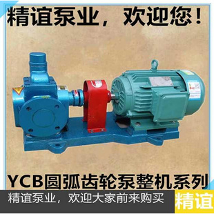 泵 润滑 泵增Q压泵燃油泵 齿轮 包0邮圆弧齿轮油泵YCB066 新品