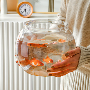 塑料PET加厚客厅鱼缸高透明小型桌面鱼缸 家用水培植物球形金鱼缸
