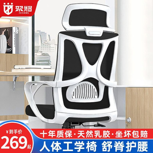 人体工学椅电脑椅家用舒适久坐电竞椅大学生宿舍转椅座椅办公椅子