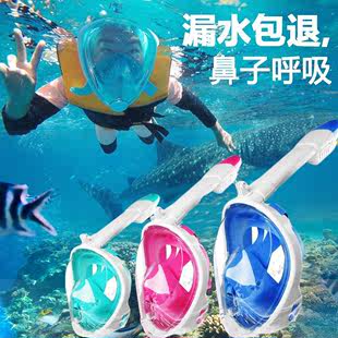 备三宝自由潜面镜 浮潜面罩装 潜水镜游泳眼镜可呼吸成人儿童全干式