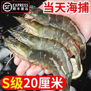 青岛大虾新鲜海虾对虾海鲜水产鲜活青虾超大基围虾冻虾白虾 4斤装