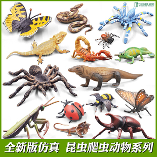 蝴蝶蜜蜂蝎子蚱蜢螳螂蜻蜓蜘蛛蜥蜴 儿童玩具动物 仿真昆虫模型