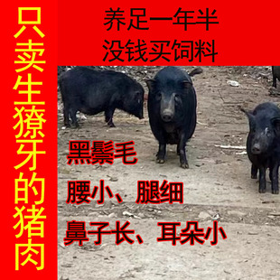 藏香猪新鲜黑猪肉五花肉藏猪肉散养正宗农家土肉红烧肉猪肉1斤