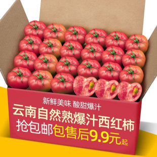 9斤新鲜生吃老品种水果普罗旺斯沙瓤番茄 云南爆汁自然熟西红柿5