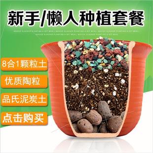 营养土 包邮 多肉兰花陶粒颗粒土专用花肥土壤 种植土通用型组合套装