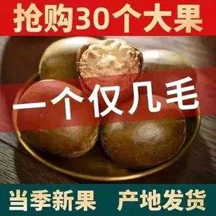 罗汉果干果广西桂林特产非野生永福罗汉果花茶正品 快速发货