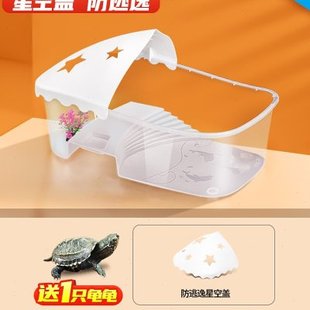 乌龟缸小乌龟巴西龟草龟宠物活物龟盆鳄龟盒儿童礼物
