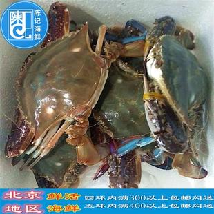 单只3到7两鲜活梭子蟹吃肉公母梭子蟹青蟹兰花蟹海鲜水产北京闪送