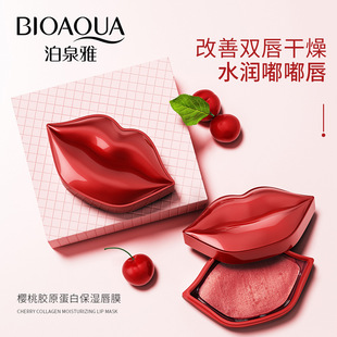 Plumper Mask Lip Collagen 唇膜 Aging Crystal Anti 20PCS