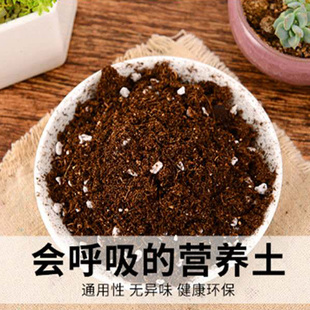 苔藓植物专用土营养土轻石智利水苔diy材料有机土多肉苔藓通用土