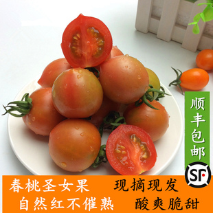 春桃小番茄圣女果小西红柿新鲜蔬菜水果非千禧 包邮 现摘3 5斤顺丰