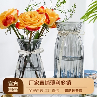 饰 两件套简约创意玻璃花瓶水培鲜花富贵竹水养植物插花瓶客厅装