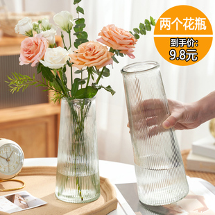 北欧玻璃花瓶透明水养鲜花百合富贵竹花瓶客厅插花摆件 两件套