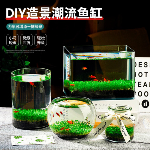 创意缸水培植物微景观办公桌面免换水免打理DIY生态鱼瓶玻璃鱼缸