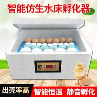 芦丁鸡泡沫小型孵化器 鸭鹅家用孵化器 孵化器小型家用水床孵蛋器