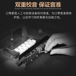 上海牌口琴专业演奏级28孔重音德国进口音簧24孔复音调初学c