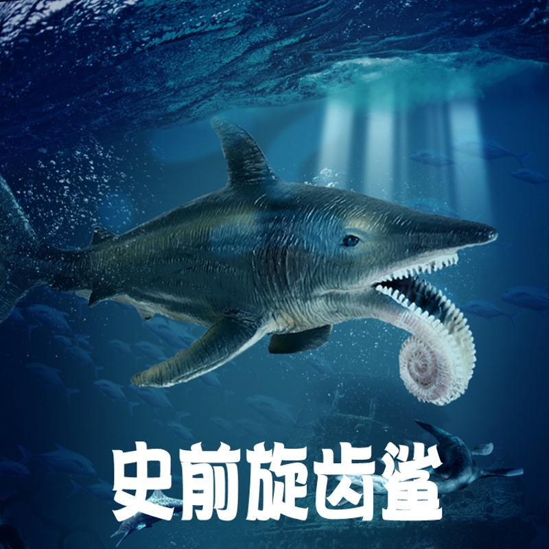 林畅模玩儿童海洋恐龙玩具远古生物旋齿鲨模型仿真动物史前鱼巨兽