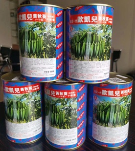台湾进黄秋葵种子羊角豆种子翠绿色 绿秋葵种子 欧凯儿黄秋葵种子