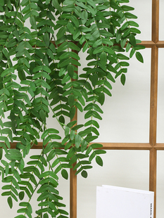 饰垂吊塑料藤蔓挂墙 仿真绿植壁挂植物墙面遮挡吊兰假花藤条室内装