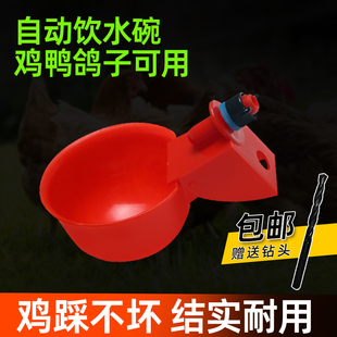 鸡用自动饮水器家禽鸭鹅饮水碗雏鸡加厚喝水碗鸽子鹌鹑小鸟喂水碗