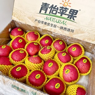 陕西特产 净重15斤 箱 36颗 儿童 新鲜水果 应季 青怡洛川苹果