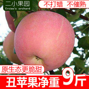 红富士丑苹果水果净重9斤新鲜高山平果萍果山西脆甜整箱非冰糖心
