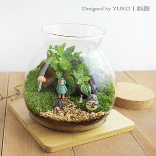 屿路 包邮 七夕情人节礼物植物组合玻璃盆栽生态瓶DIY 苔藓微景观