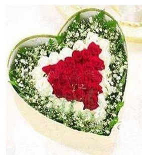 博罗惠东情人节爱情33朵粉玫瑰礼盒 七夕鲜花惠州生日鲜花速递