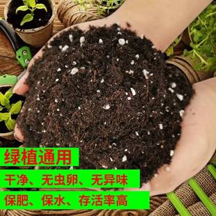 营养土土壤种植多肉花土Z有机泥炭土 种菜土100斤种菜在家种菜用