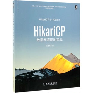 博库网 HikariCP数据库连接池实战官方正版