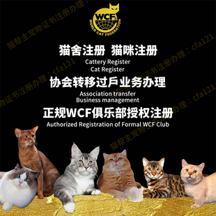 WCF证书五代血统注册金点银点矮脚猫 WCF猫舍注册注册wcf血统证书