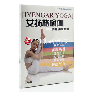 初级入门教学视频光盘碟片 1DVD提臂美腹理疗 艾扬格瑜伽