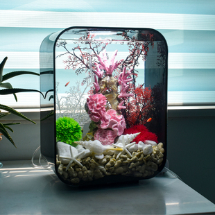 水族箱小型客厅桌面家用办公室鱼缸亚克力生态免换水静音增氧造景