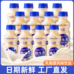 12瓶早餐酸奶益生菌牛奶饮料 酸奶整箱乳酸菌饮品340ml 益生元