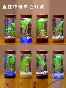 生态微景观摆件生态瓶鱼缸桌面造景植物小型雨林缸桌上小宠物海藻