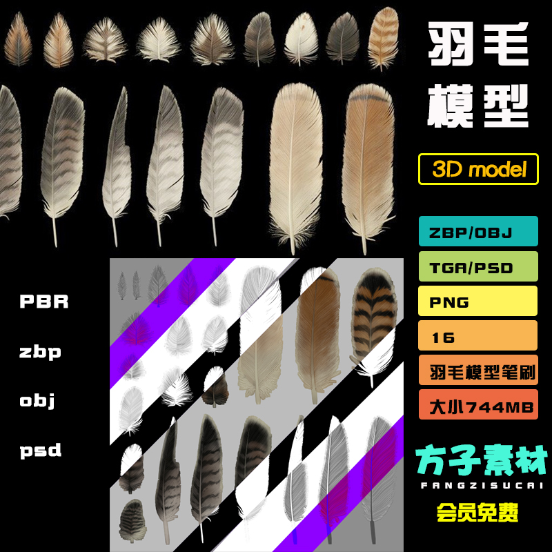 c4d模型羽毛PBR纹理4K贴图ZBP鸟类毛发笔刷3D设计obj素材笔刷T073