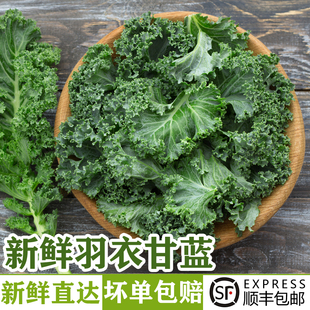 嫩叶甘兰kale健身轻食榨汁蔬菜西餐沙拉食材配菜 新鲜羽衣甘蓝2斤