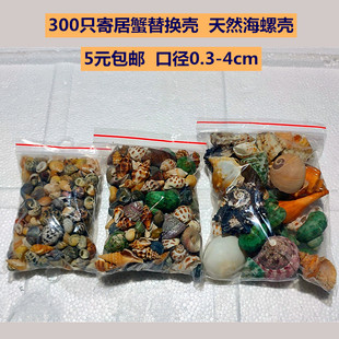 4cm豆丁寄居蟹替换壳天然海螺鱼缸调节水质硬度ph硝化菌 300只0.3