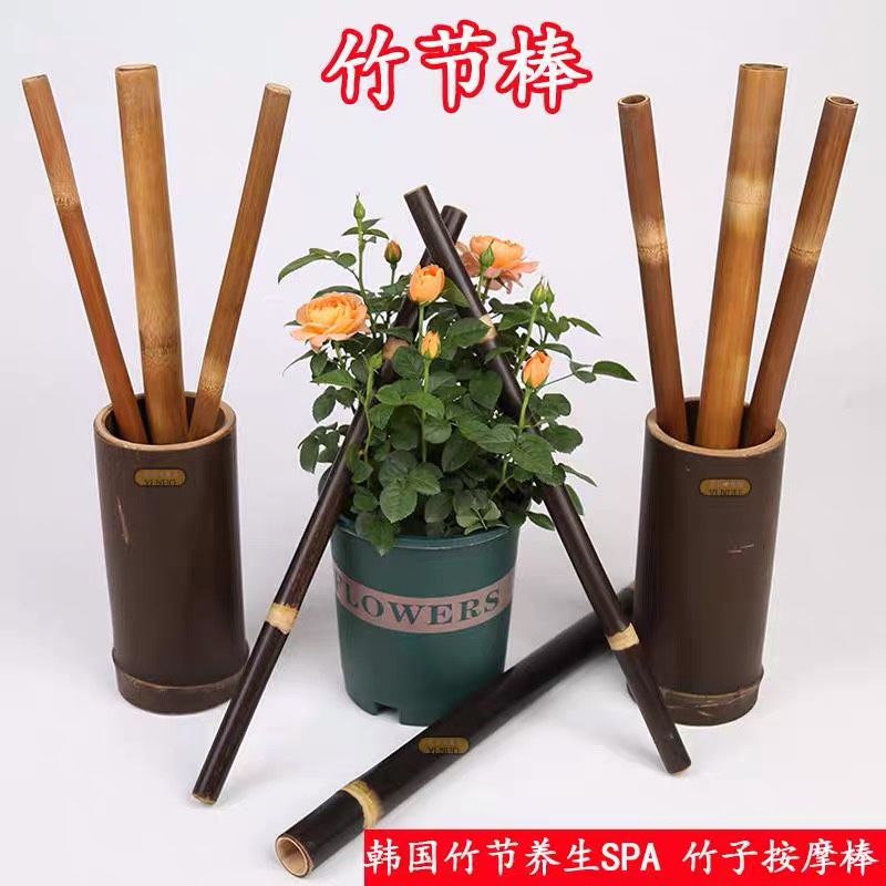 韩国竹节养生SPA竹节疗法竹节经络棒竹节按摩棒肩颈疏通美容棒
