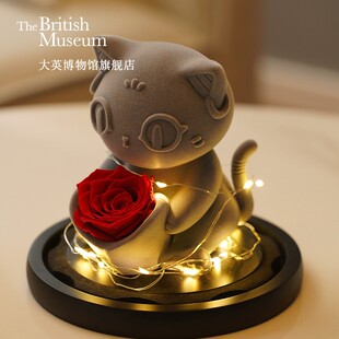 大英博物馆盖亚安德森猫玫瑰永生花氛围灯礼盒表白生日礼物礼品